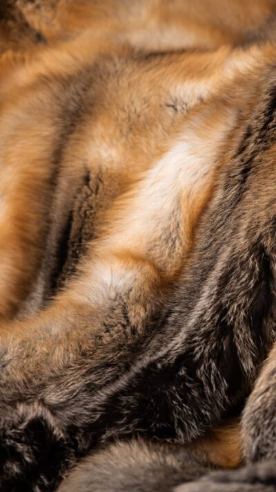 Naples | Real Luxurious Finnish Golden Island Saga Fox Fur Blanket –Throw