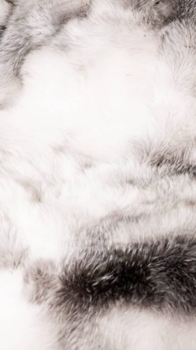 Palermo | Real Luxurious Norwegian Saga Shadow Blue  Frost Fox Fur Blanket–Throw